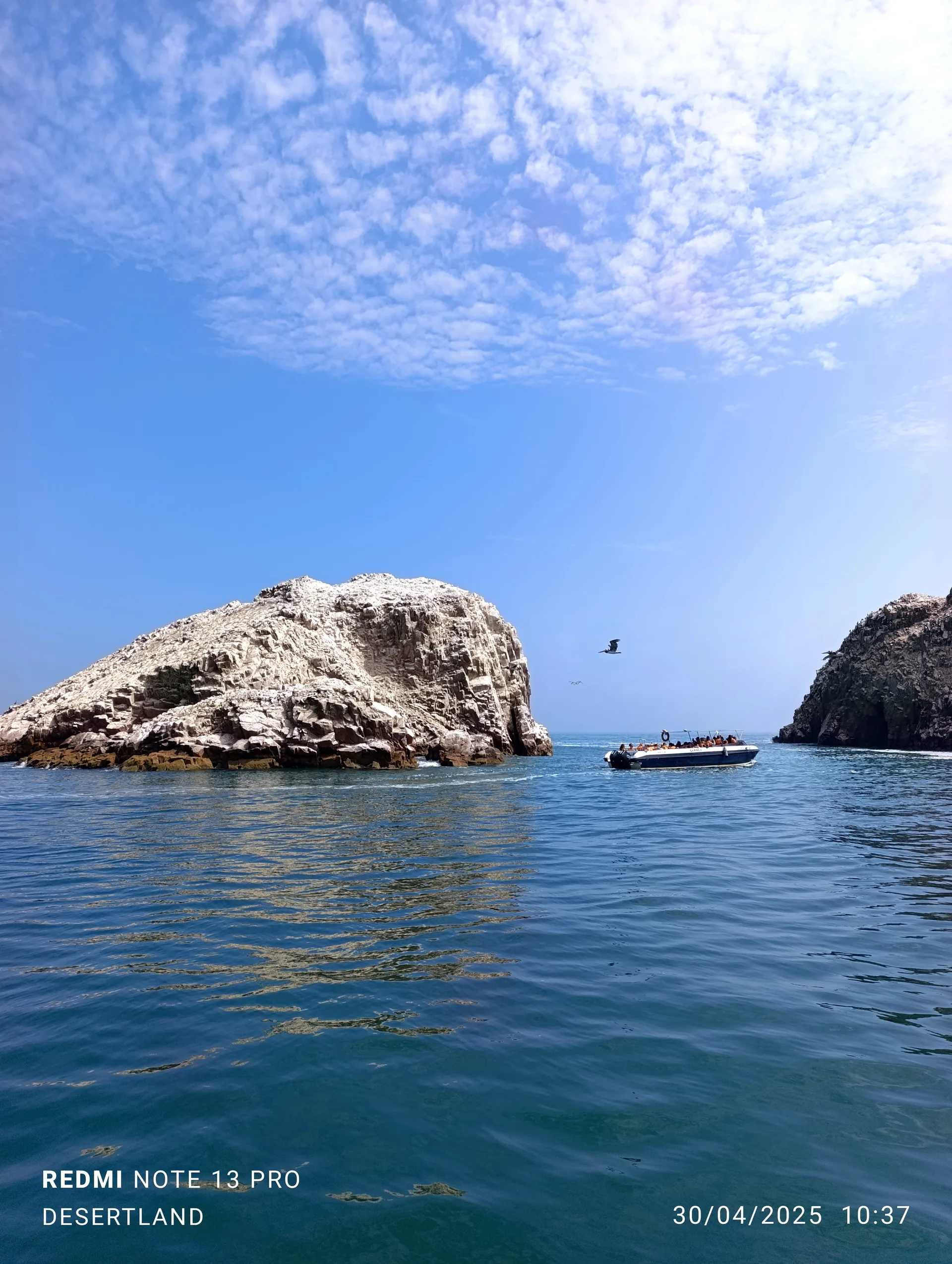 Aves guaneras Islas Ballestas