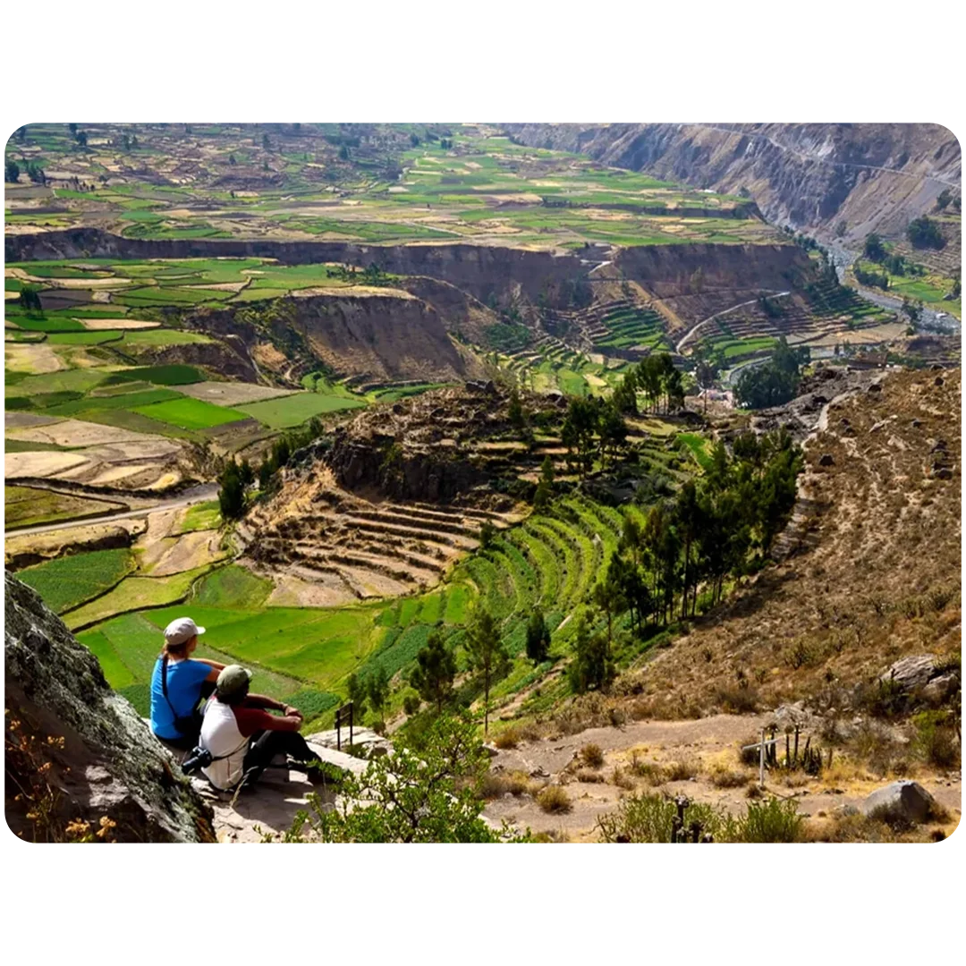 Oasis de Sangalle