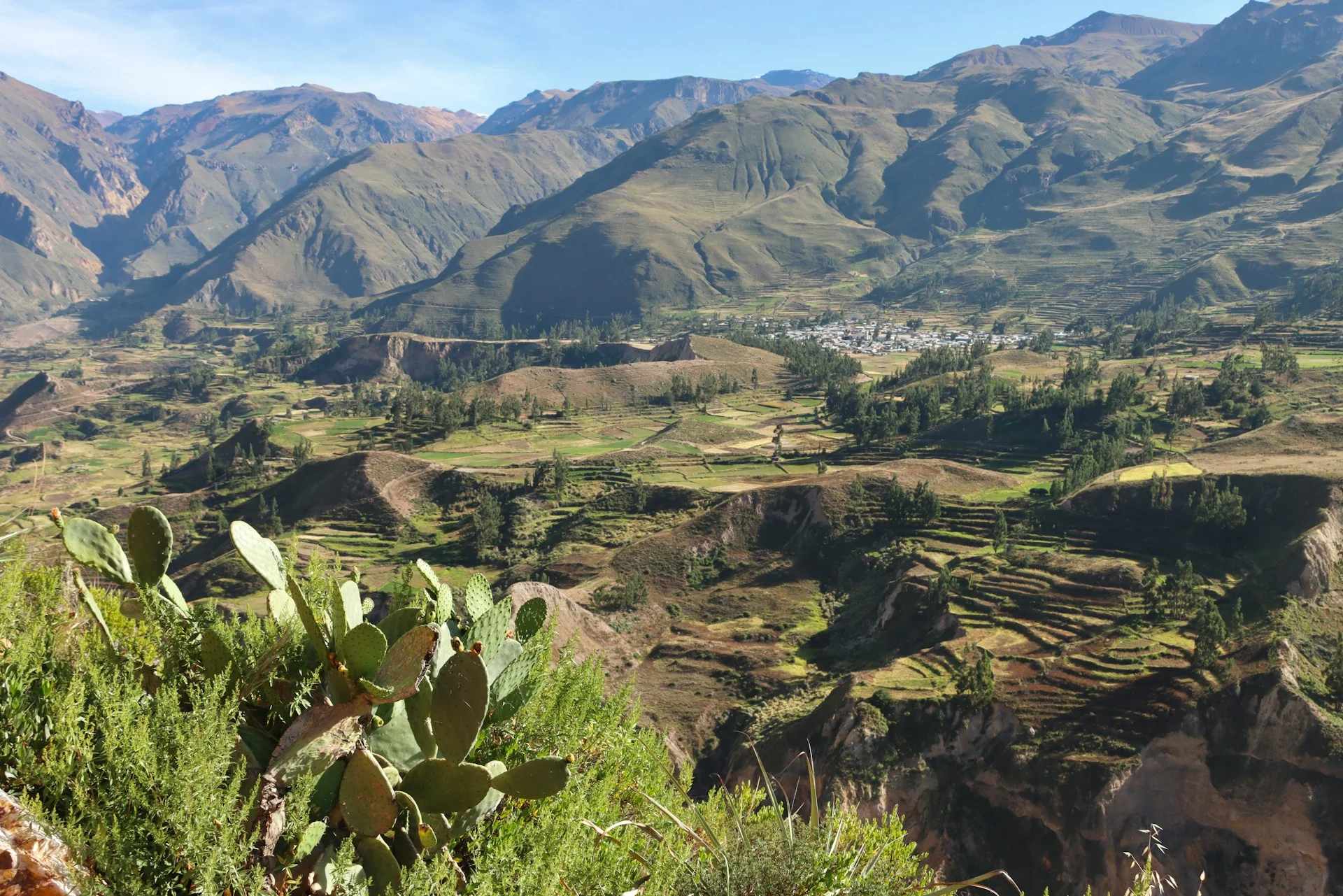 Vista panorámica del Cañón del Colca