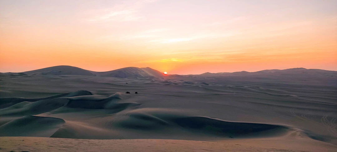 Full Day Paracas + Ica