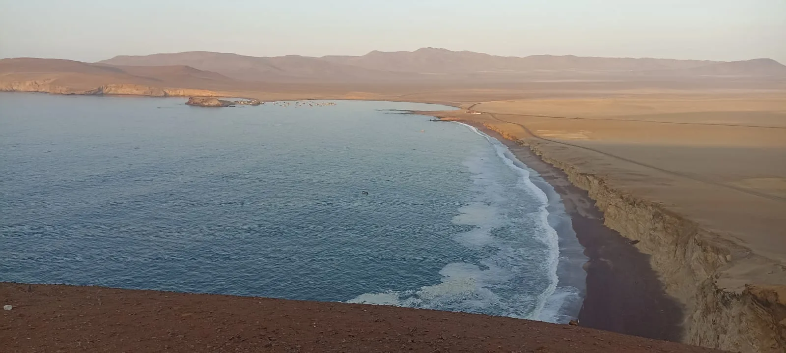Fauna en la Reserva de Paracas